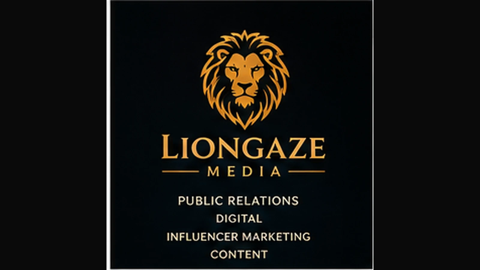 Liongaze Media visual